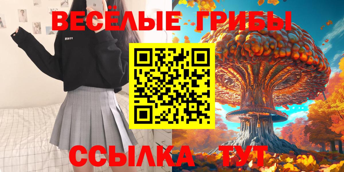 Галлюциногенные грибы Psilocybe Новороссийск