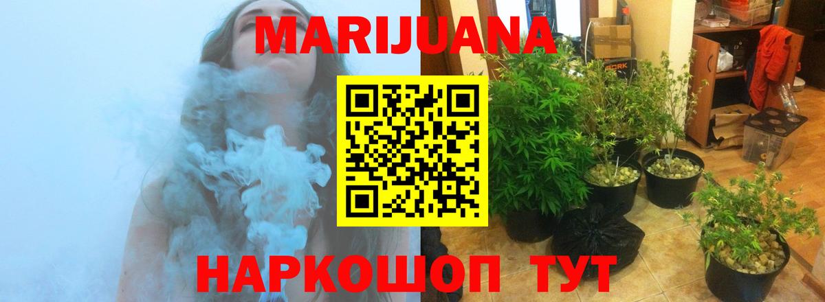 Канабис Ganja Новороссийск